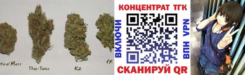 Купить где  Перевоз  ТГК концентрат 